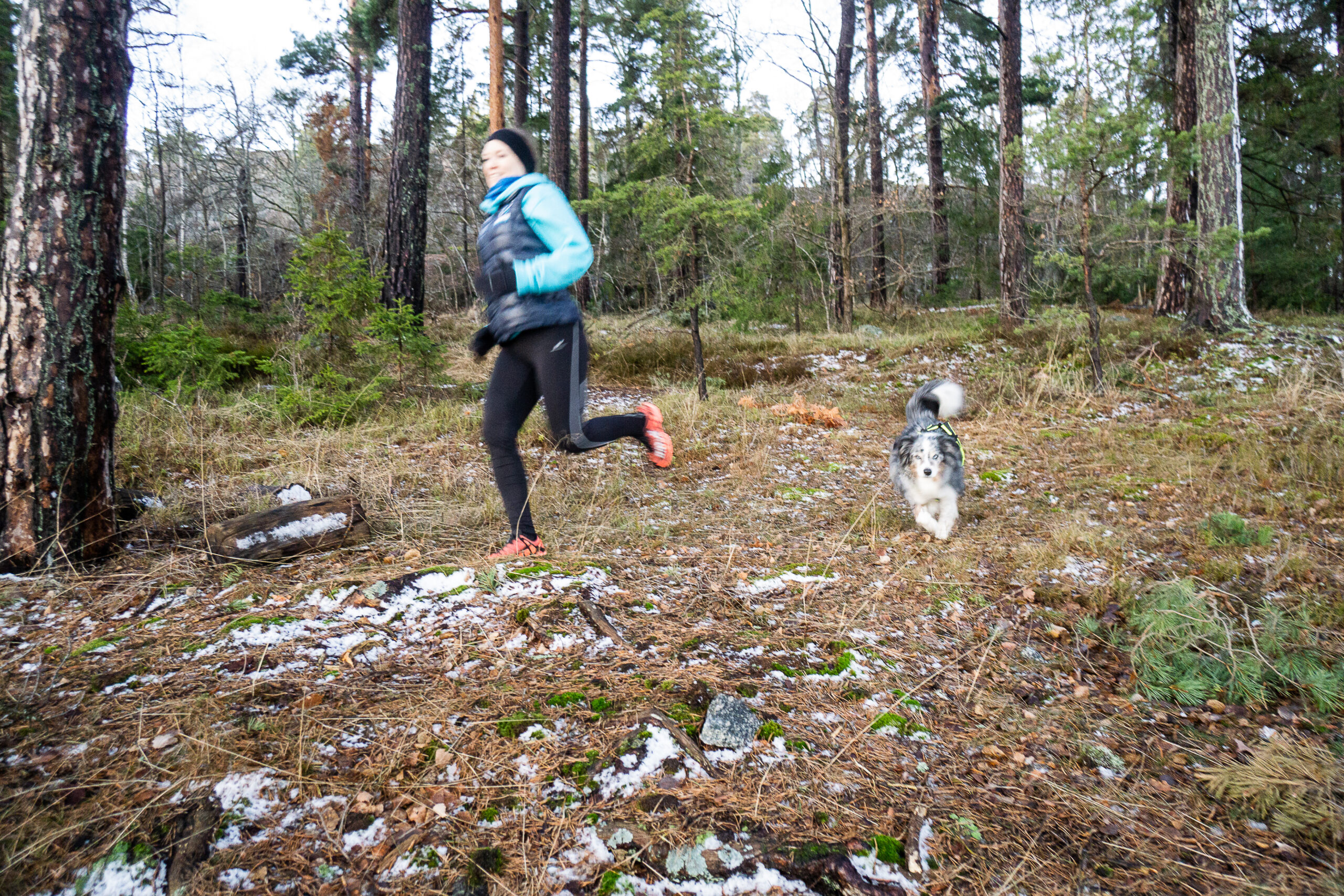 Kom igång att springa med hunden