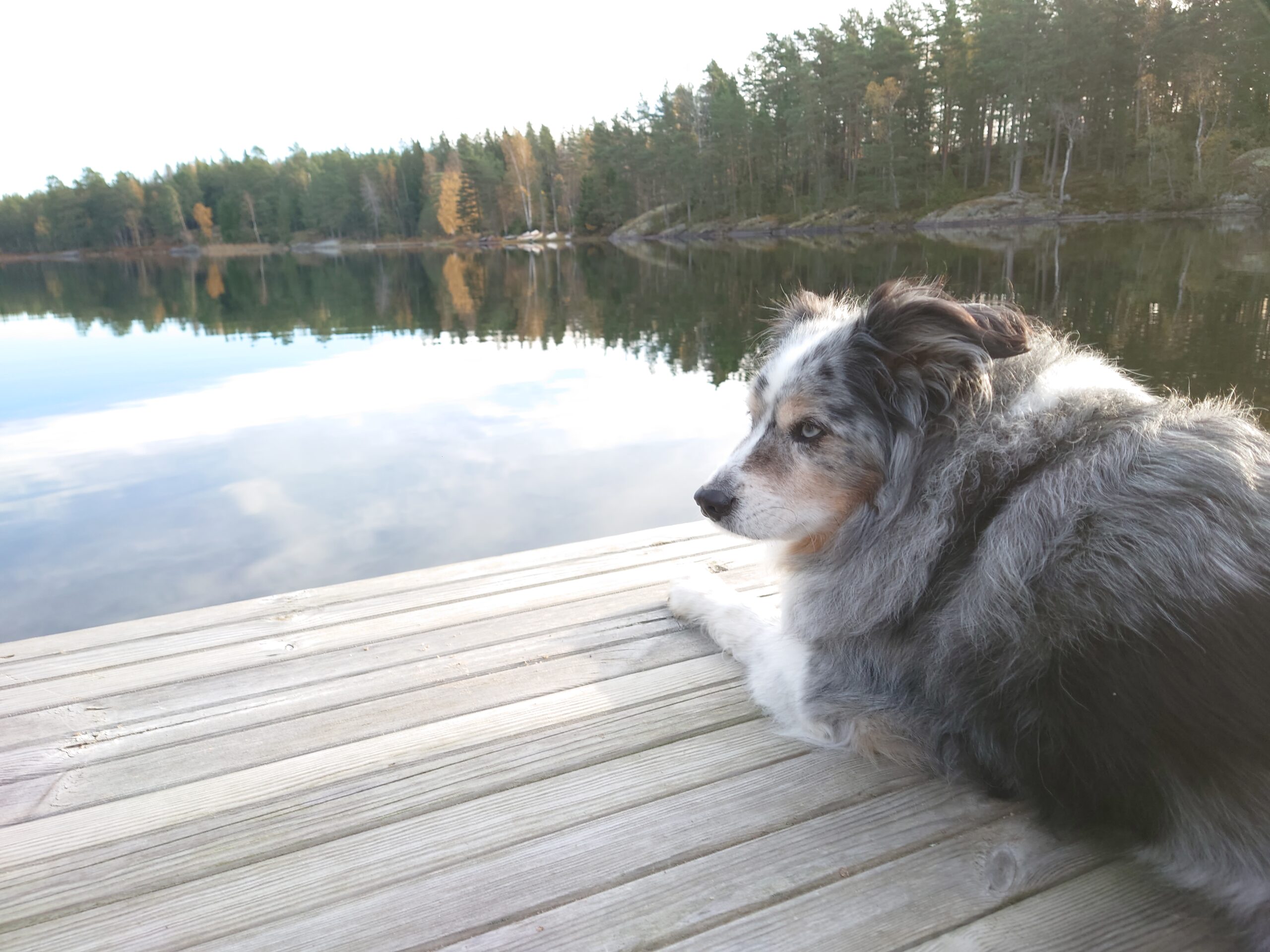 Världens bästa äventyrskompis!